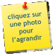cliquez sur une photo pour l’agrandir